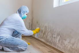 Best Mold Documentation for Insurance Claims  in Atascocita, TX