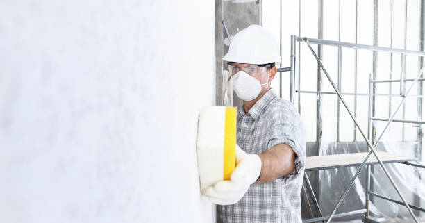 Best Biohazard Mold Removal  in Atascocita, TX